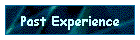 Past Experience